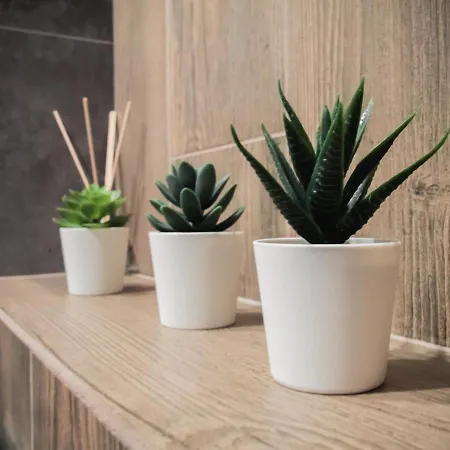 Appartement Dwupoziomowy Krolowej Jadwigi 3 Bydgoszcz