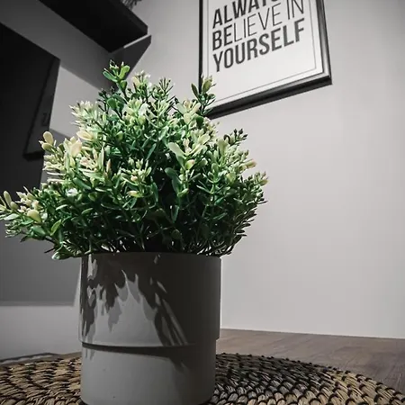 Dwupoziomowy Krolowej Jadwigi 3 * Быдгощ