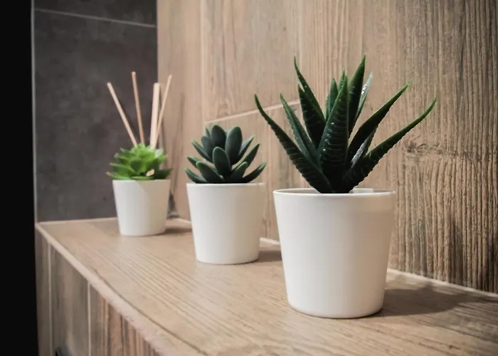 Apartment Dwupoziomowy Krolowej Jadwigi 3 Bydgoszcz