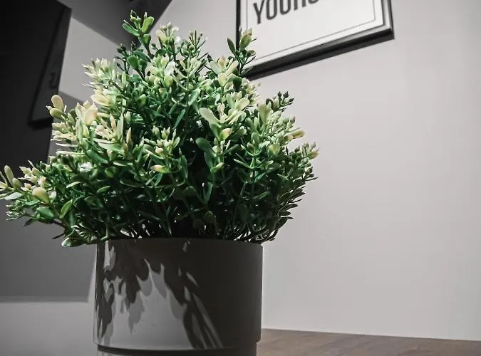 Dwupoziomowy Krolowej Jadwigi 3 * Bydgoszcz